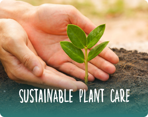 sustainableplantcare